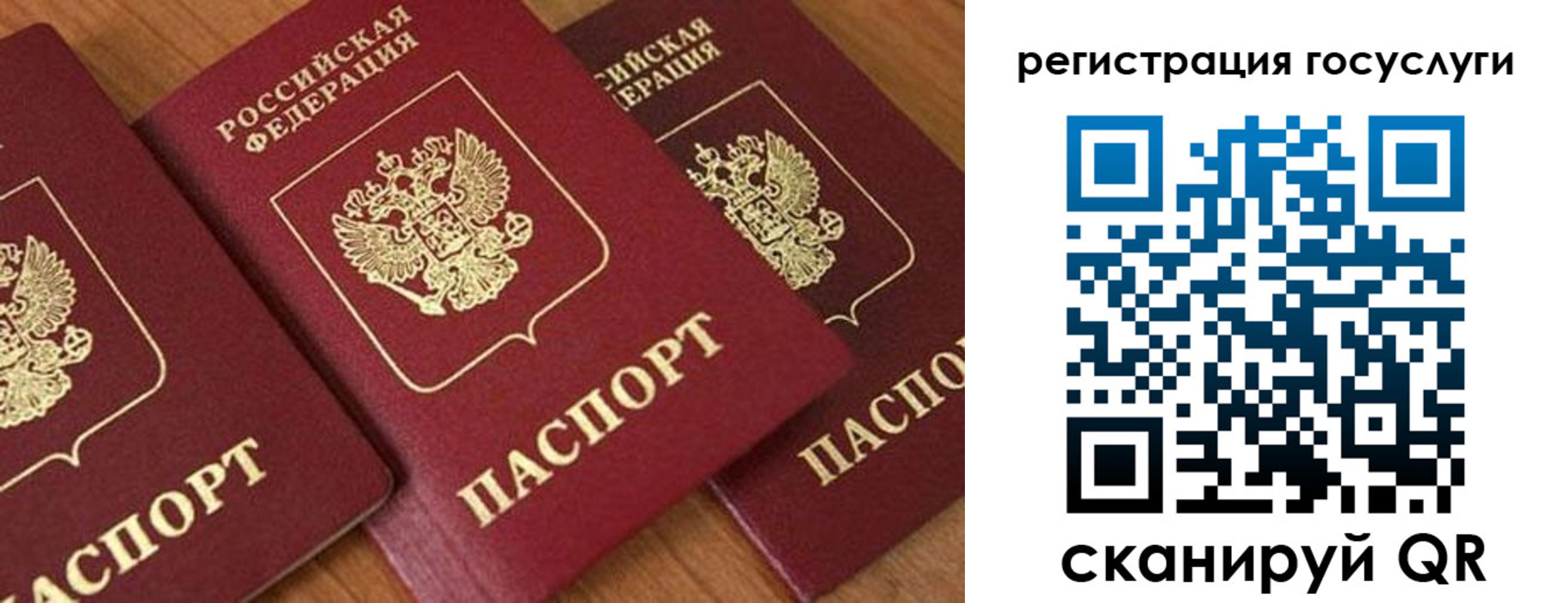 временная регистрация гарантия в Муроме